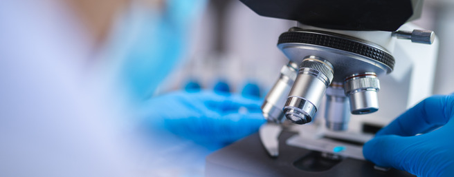 A close-up view of a laboratory microscope with a person's hands, wearing blue gloves, adjusting the equipment. The background is blurred, emphasizing the microscope and its lenses.